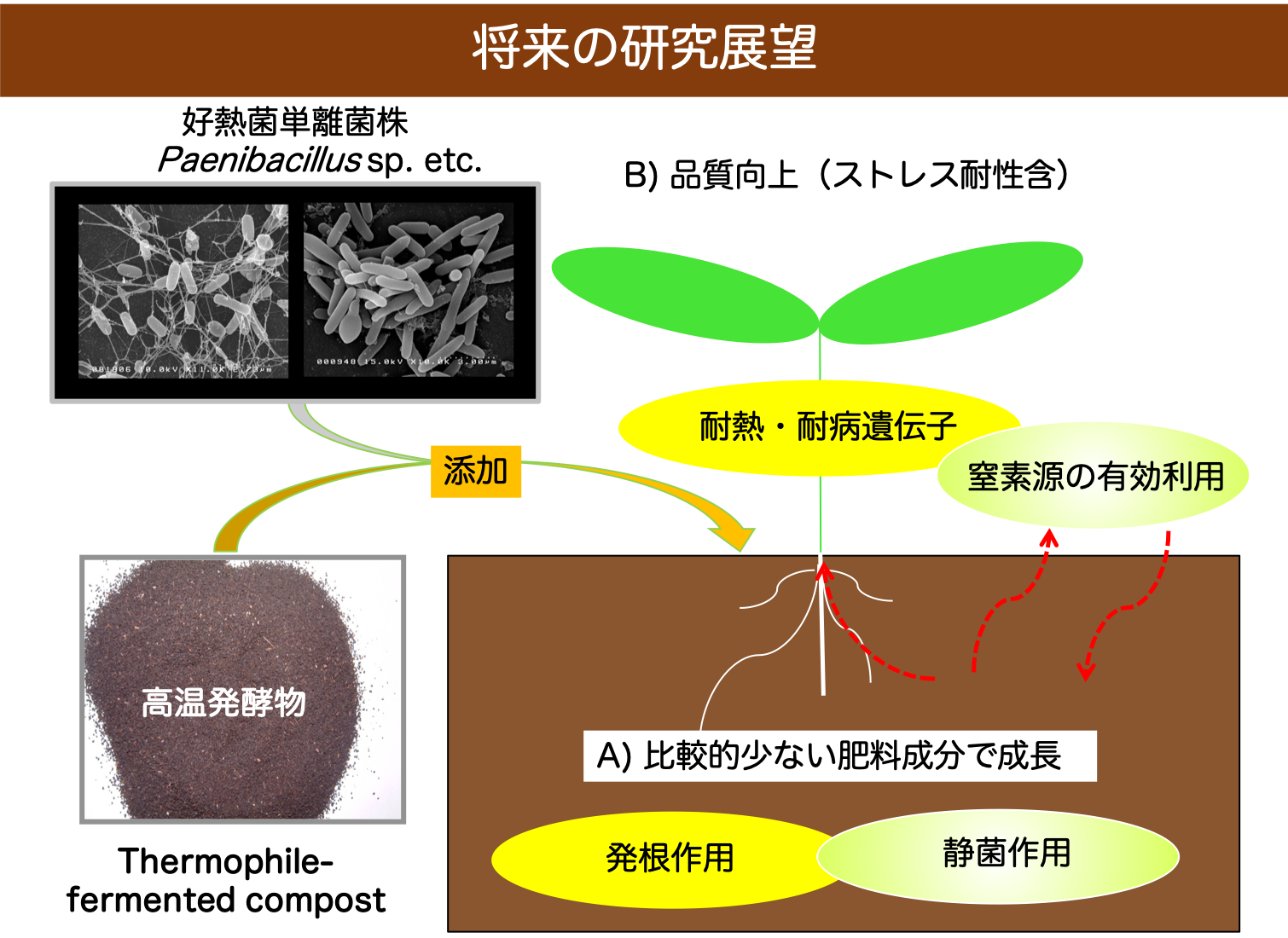 環境保全型農業 ECOAIs 環境保全型農業 ECOAIs